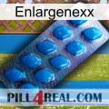 Enlargenexx viagra1